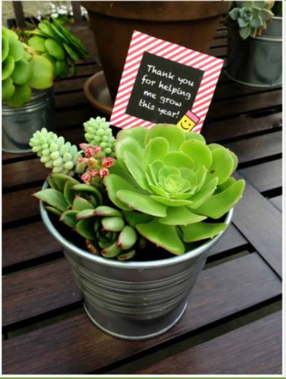 Thanks for helping me grow teacher gifts